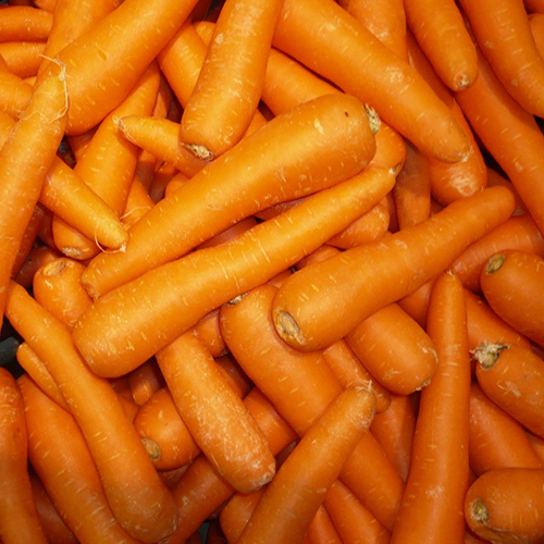 Fresh Carrot