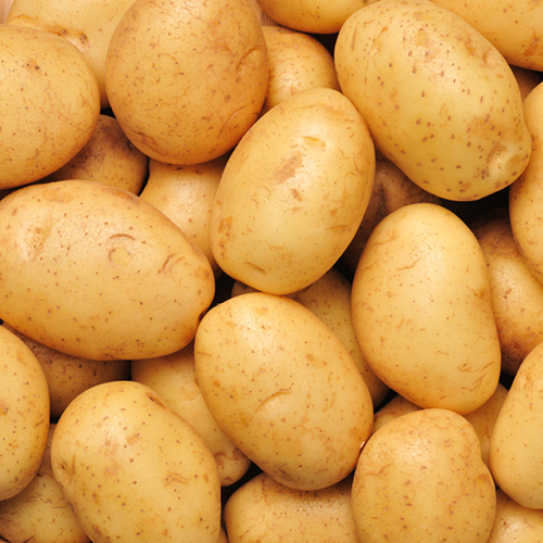Fresh Potato