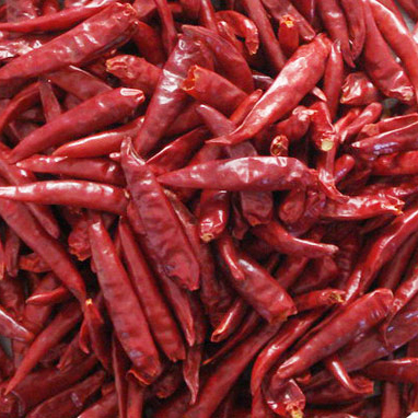 Red Chilli