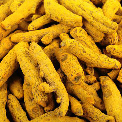 Turmeric Finger