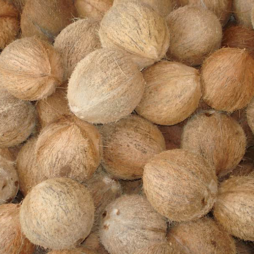 Fresh Coconut