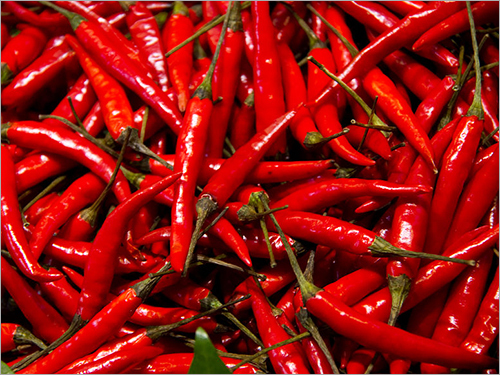 Red Chilli