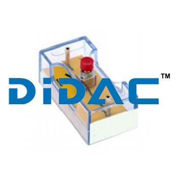 Single Pole Push Button