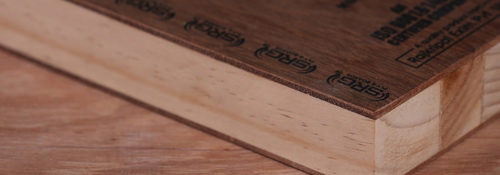 SRG FLUSH DOOR