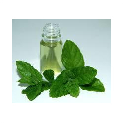 Piperita Oil