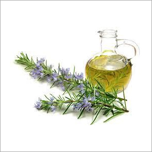 Rosemary Oil