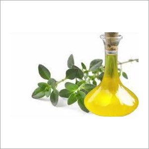 Thyme Oil