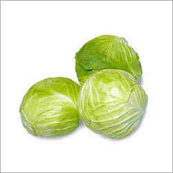 Green Cabbage