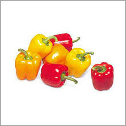Coloured Capsicum