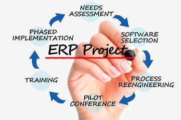 ERP Implementation OR Alignment