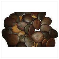Orjitra Herbal Seeds