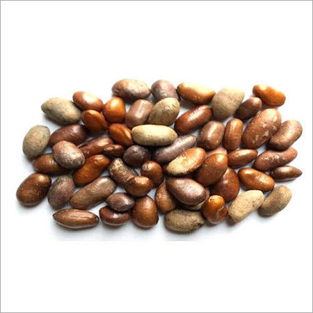 Jamaican Nutmeg Herbal Seeds