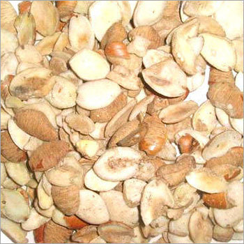 Irvingia Gabonensis Seeds