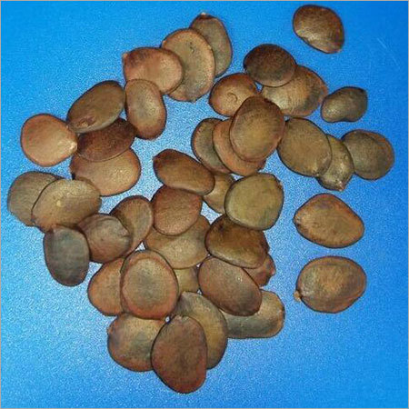 Manisto Herbal Seed
