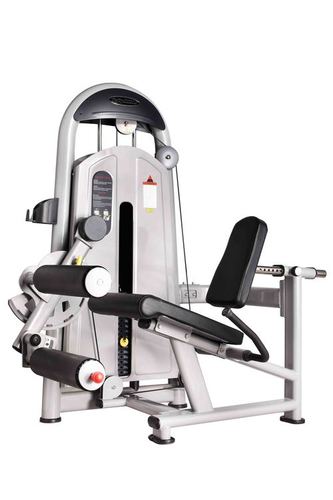 Seated Leg Curl