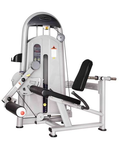 Leg Extension