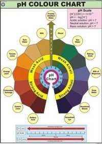 PH Scale Color Chart