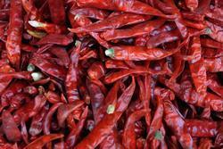 Red Chilli