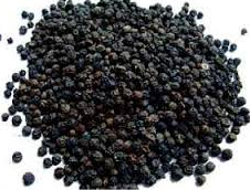 Black Pepper