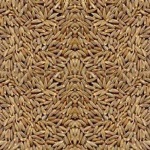 Cumin Seeds