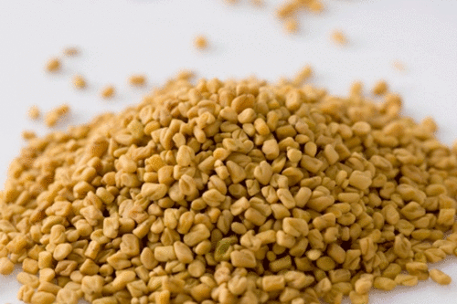 Fenugreek