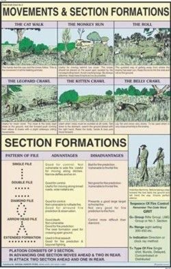 Movements & section formation Chart