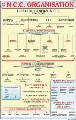 Organization of NCC Chart