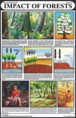 Man And Environment Chart
