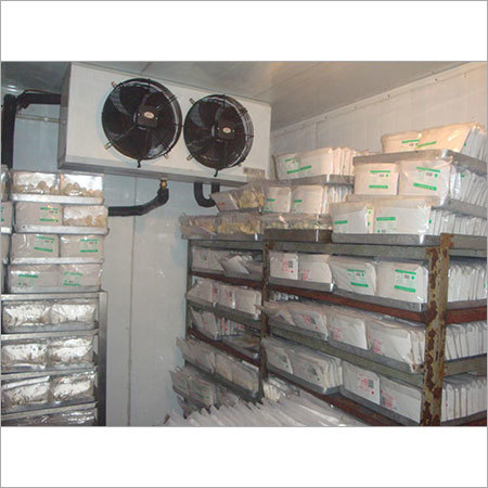 Commercial Freezer Room