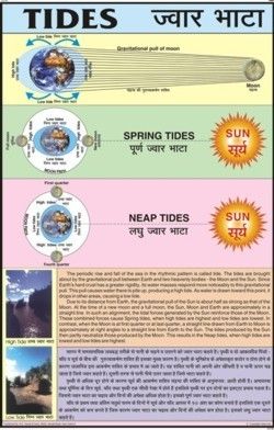 Tides Chart