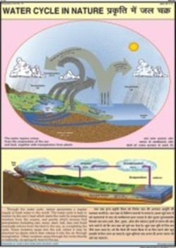 Water Cycle in Nature Chart