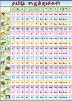 Laminated Paper Tamil Barakhadi Chart