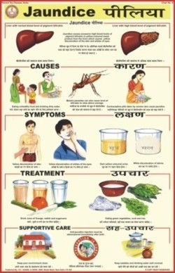 Prevent Diseases Chart