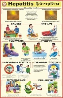 Hepatitis Chart