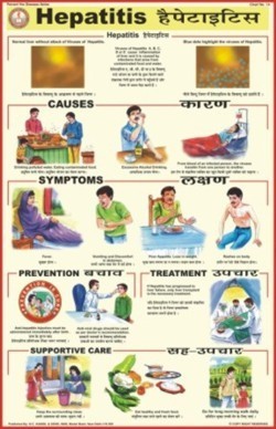 Hepatitis Chart