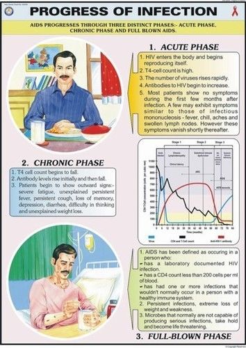 Progress of Infection Chart