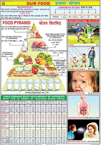 Our Food Chart