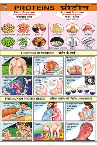 Food And Nutrition Chart