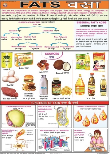 Food And Nutrition Chart