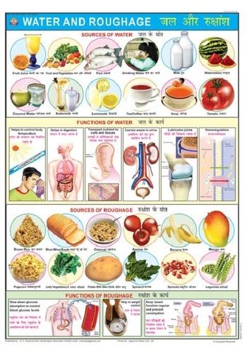 Water & Roughage Chart