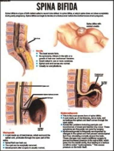 Nursing Charts