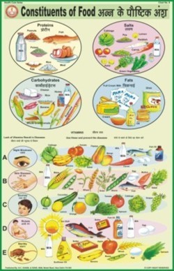 Constituents of Food Chart