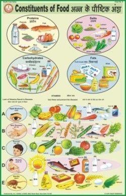 Constituents of Food Chart