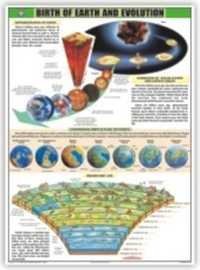 The Birth of the Earth and Evolution Chart