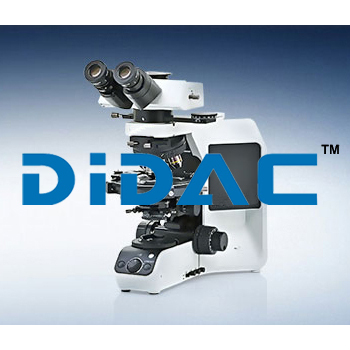 Upright Microscope BX53 Upright Microscope BX53