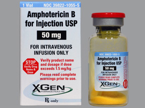 Amphotericin B