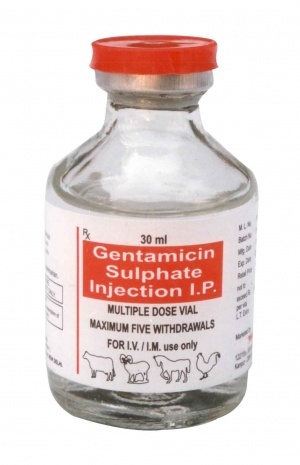 Gentamicin
