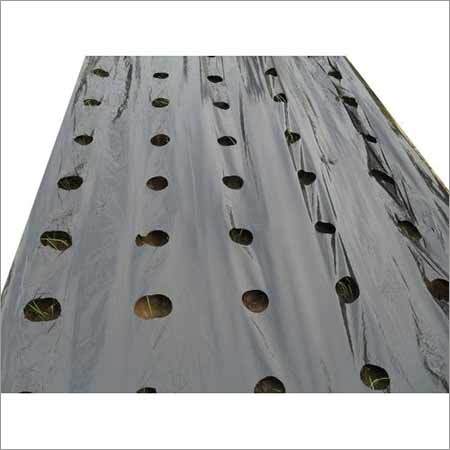 Agriculture Mulching Films Agriculture Mulching Films