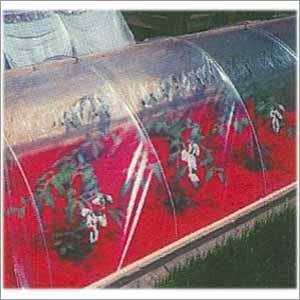 Biodegradable Mulching Film Biodegradable Mulching Film
