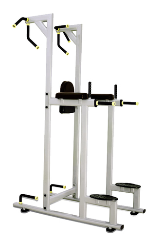 Vertical Knee Raise